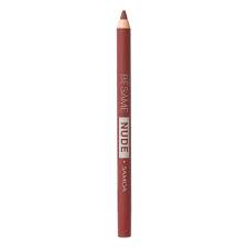 Besame Nude Wp Lipliner 551