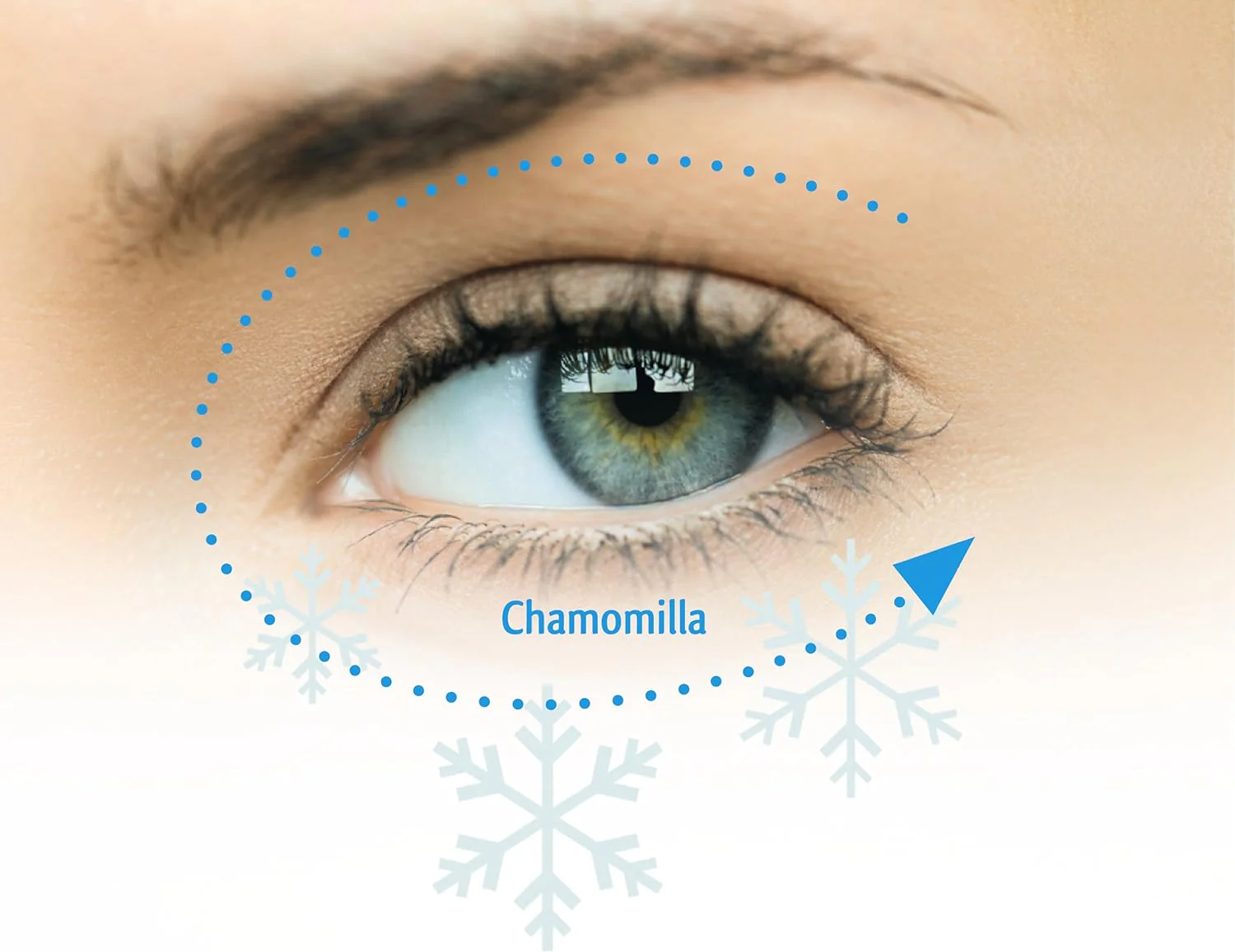 Chamomile and Fig Eye Relief - Image 3