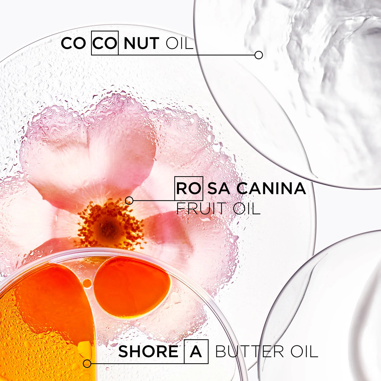 Discipline Masque Oléo-Relax Hair Mask - Image 4