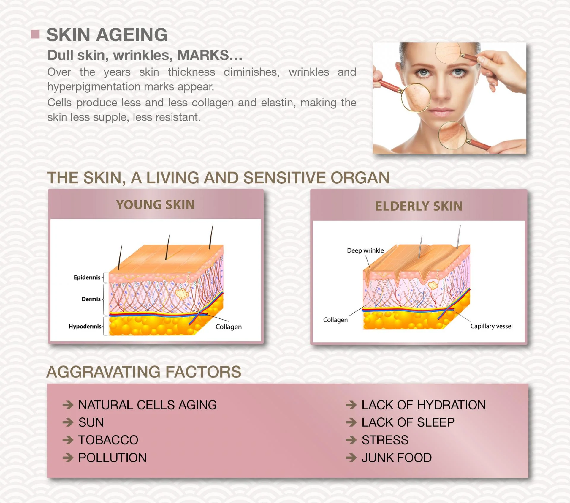 Eqi-Zen Collagen 1200mg 60 Cap - Image 3