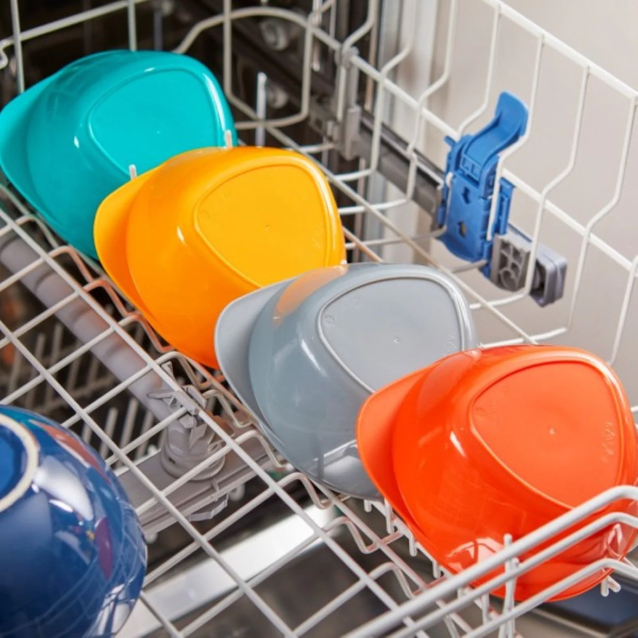 Feeding Bowls - Image 6
