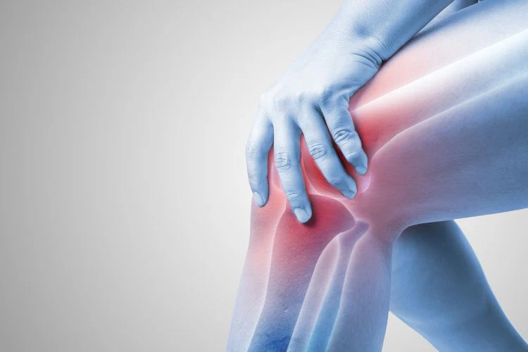 Healthy Joints 90 Cap - Image 2