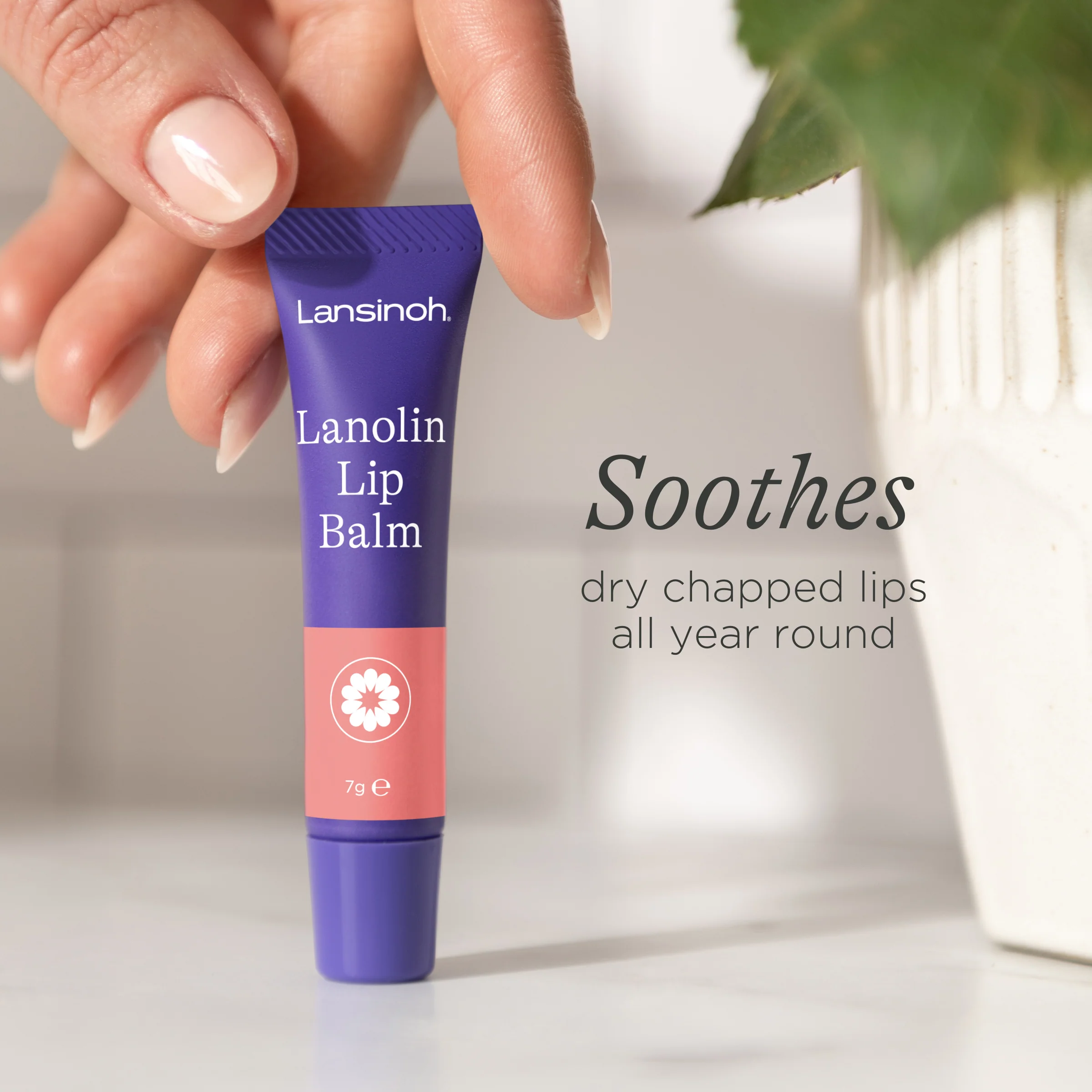 Lanolin Lip Balm - Image 3
