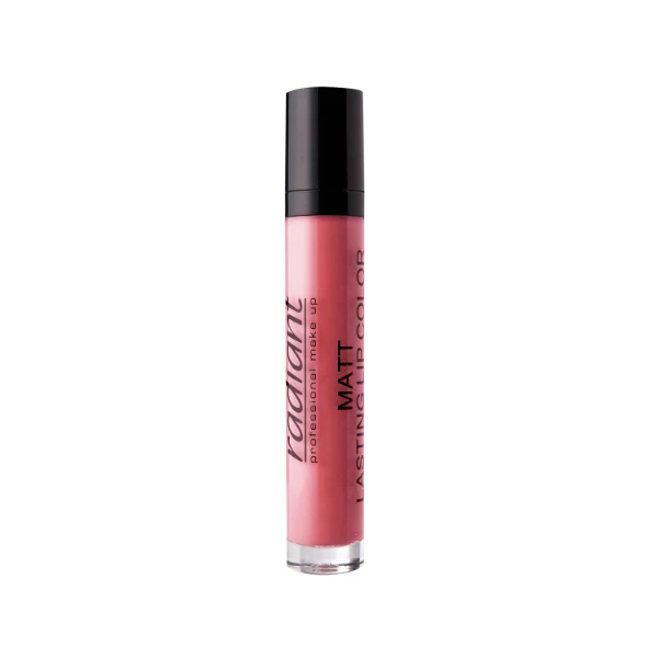 MATT LAST LIP COLOR 42