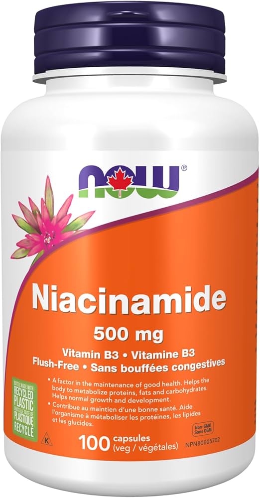 Niacinamide (Vitamin B-3) 500 mg