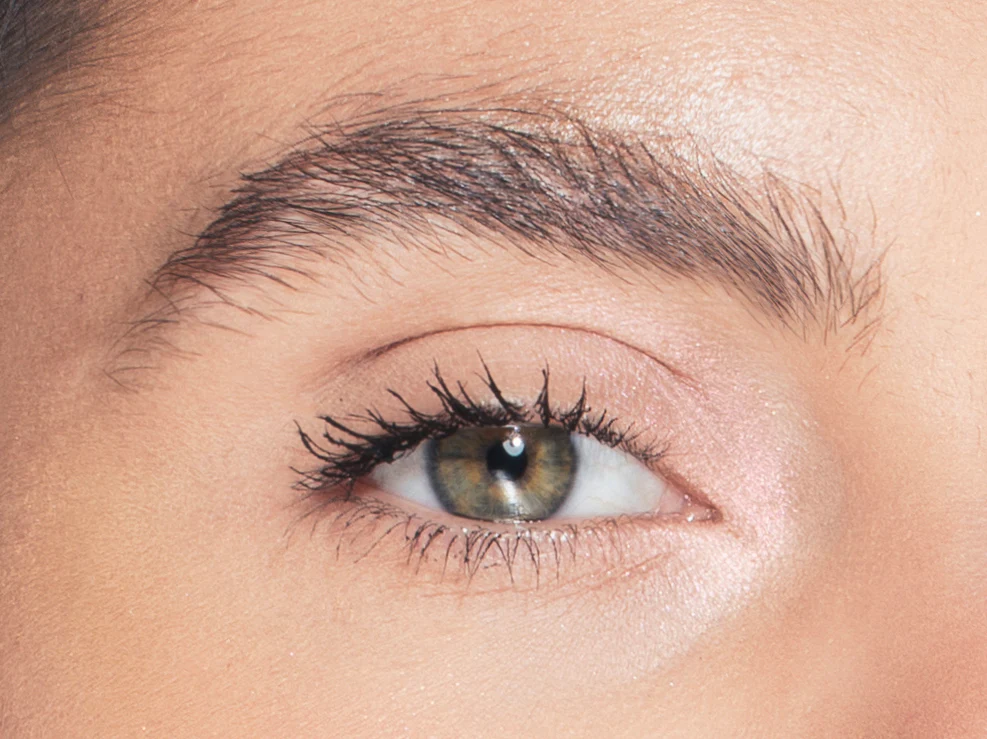 Ponytail Brow - Image 3