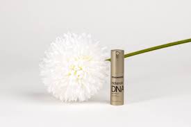 Radiance DNA Eye Contour - Redensifying Solution - Image 3