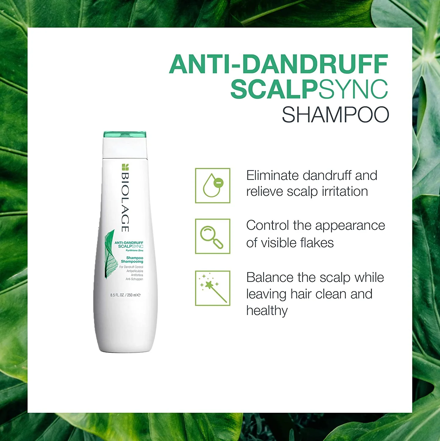 ScalpSync Anti-Dandruff Shampoo For Dandruff Control - Image 3