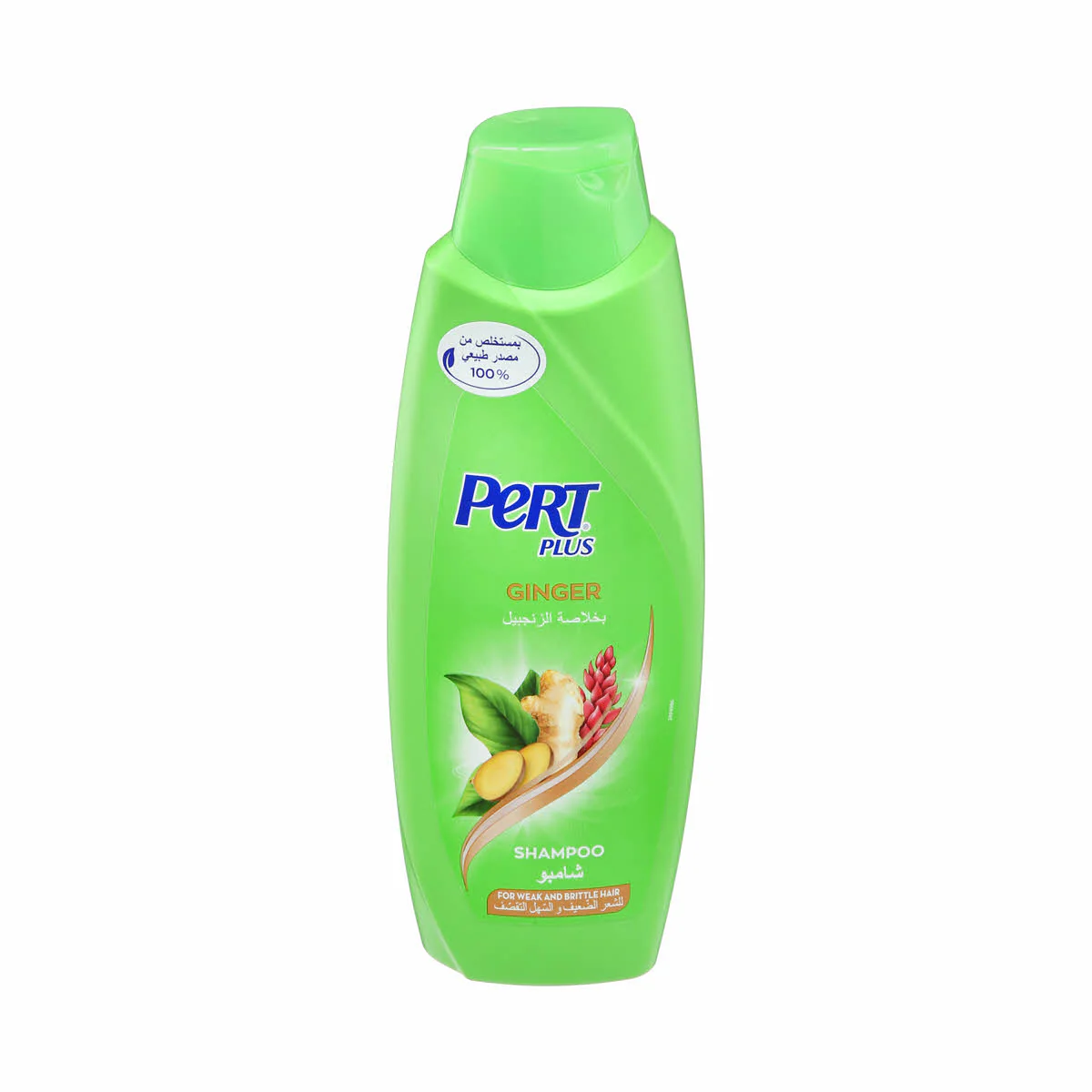 Shampoo With Ginger Extract 600ml