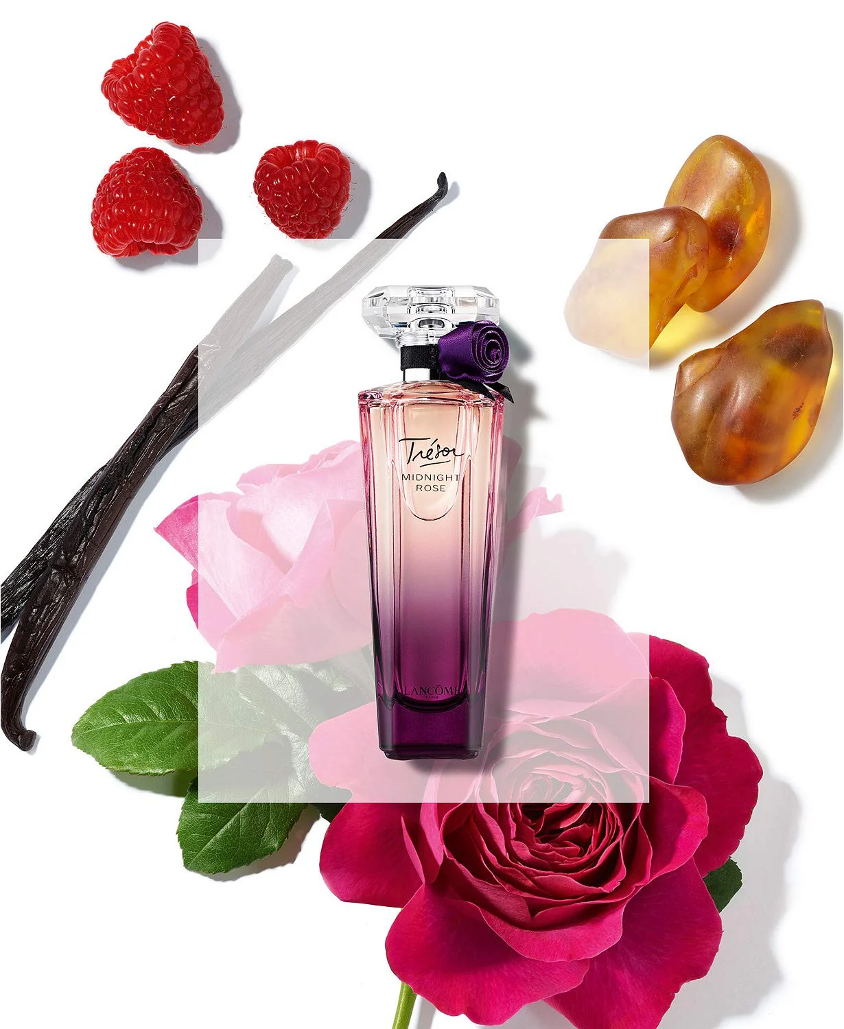 Trésor Midnight Rose - Eau de Parfum - Image 4
